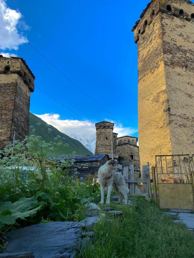 Отель Nizharadze'S Tower Ушгули Экстерьер фото
